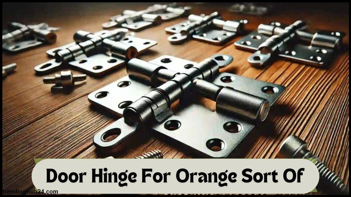 Understanding Door Hinge For Orange Sort Of.jpg